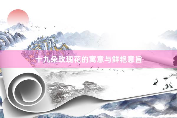 十九朵玫瑰花的寓意与鲜艳意旨