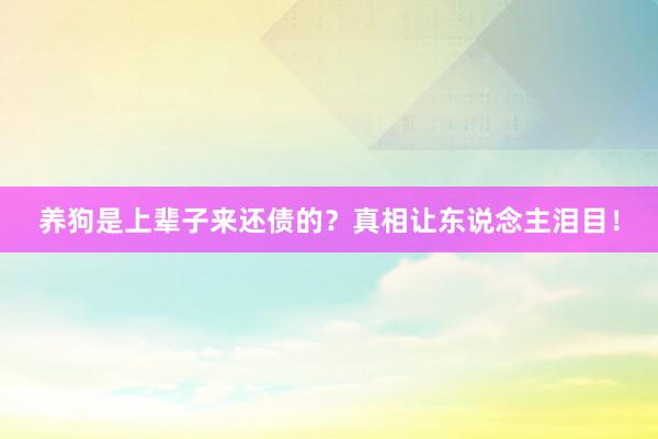 养狗是上辈子来还债的？真相让东说念主泪目！